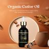 Allurials Organic Castor Oil  2 Fl Oz | 100% Pure & Natural | Premium-Grade Carrier Oil for Hair Growth, Eyelashes & Eyebrows | Moisturizing Oil for Skin & Body view 2