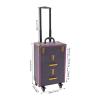 AOOCHU Rolling Makeup Train Case Travel Make Up Case Cosmetic Train Case Rolling Portable Makeup Case Beauty Train Case With Universal Wheels & Key For Hairdresser Makeup Artist (Purple+Bronze) view 2