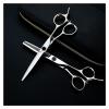 Professional Bearing Screw Hair Scissors Hairdressing Scissors Silver Hair Shears Barber Scissors,Cutting Scissors (Thinning Scissors) view 2