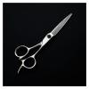 Professional Bearing Screw Hair Scissors Hairdressing Scissors Silver Hair Shears Barber Scissors,Cutting Scissors (Thinning Scissors) view 3
