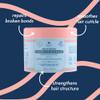 Nature Spell Bond Repair Haircare Collection, Sulfate & Paraben Free, Moisturizes & Nourishes Dry Hair, with Shampoo & Conditioner, Hair Mask, Bond Builder, Leave-In Cream and Oil, Vegan, Pack of 6 view 3