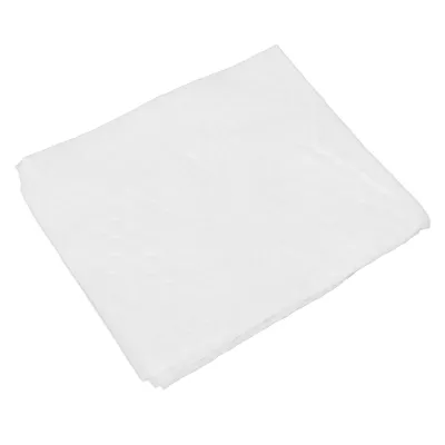 100pcs Cotton Wipe Paper, Thick Disposable Cleansing Towel Tissue, Embossed for Better Cleaning, Strong Water Absorption, 7.9 X 9.4in, Suitable for, Makeup Removal