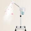 JOSTZHXIN Professional Facial Steamer, Esthetician Face Steamer Hot Mist, Facial Steamer for Home Beauty Salon Spa view 1