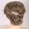 Aimimier Bridal Crystal Hair Comb for Women Leaf Hair Side Comb Rhinestone Inlaid Long Teeth Hair Piece Prom Wedding Hair Accessories (Champagne) view 1
