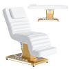 kaiwrxin Electric Lift Massage Table for Estheticians, Professional Facial Bed with Adjustable Backrest, Waxing Table, Heavy-Duty 1500lbs Capacity (White) view 1