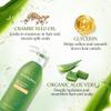 Aloderma Aloe Nourishing Hair Care Set - Nourishing Shampoo & Conditioner - Strengthening, Damage Control - All Hair Types view 3