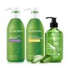 Aloderma Aloe Hair & Body Care Set: Oil Controlling Shampoo, Nourishing Conditioner, 300g Aloe Vera Gel+Tea Tree Oil view 1