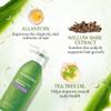 Aloderma Aloe Hair & Body Care Set - Oil Controlling Shampoo, Aloe Vera Gel + Tea Tree Oil 300g view 3