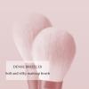 10pcs Makeup Brush Set Cosmetic Foundation Brush For Liquid Makeup Contour Eyeshadow Blush Brush Makeup Brushes Kit (10 Makeup Brushes) view 4