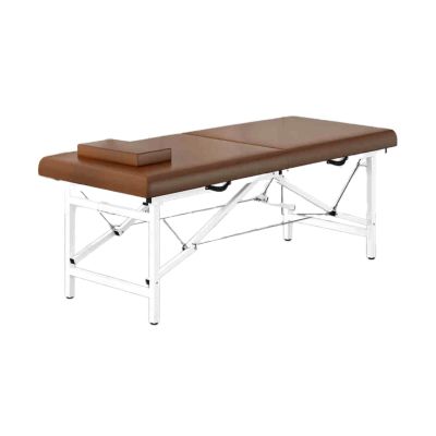 UGTFFT Portable Folding Beauty Massage Bed Tattoo Therapy with Head Hole Hand-held Folding Light Bed,Suitable for Spa Salon Tattoo(Color 1,185x70x60cm)