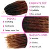 Marley Twist Braiding Hair 18 Inch Marley Hair 8 Packs Kinky Twist Hair Extensions for Afro Kinky Curly Braiding Soft and Natural Crochet Hair (18 Inch 8packs,1b/30/27) view 4