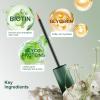 QIAHEE Eyelash Serum, Lash Serums for Thicker, Longer and Fuller Eyelashes, Eyelash Growth Serum view 3