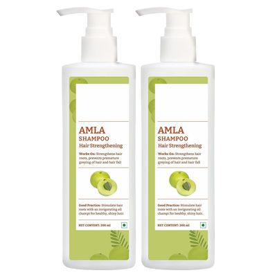 Amla Shampoo | Shampoo for Men & Women - 200 ml (Pack of 2)