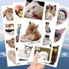 10 Sheets Cat Temporary Tattoos Birthday Themed Party Supplies Decoration Favors Cartoon Cute Animal Sticker for Kids Boys Home Activity Class Prizes Carnival Christmas Rewards view 3