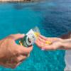 360 Sunshield Skin Care: All Natural Skin Defense of 240 mg of Polypodium Leucotomos + Proprietary Blend (30 Daily Servings) view 4