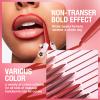 LANGMANNI 4Pcs Sculpting Matte Velvet Lip Liner Set,Smooth Creamy Texture,Waterproof And High Pigmented For Girls Daily Application Lip Makeup(1+2+3+4) view 2