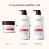 ALFHEIM Argan Repairing 3-piece set of shampoo, conditioner and hair mask Deeply Repairs Damaged Hair Intense Hydration & Frizz Control Sulfate & Paraben-Free for Daily Care & Post-Color Treatment view 3