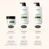 ALFHEIM Rosemary 3-piece set of shampoo, conditioner and hair mask Deep Cleansing Scalp Care Strengthens Roots & Prevents Flatness Sulfate & Paraben-Free for Oily Scalp & Sensitive Skin view 4