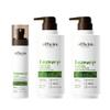ALFHEIM Rosemary Shampoo Conditioner Leave-in Conditioner 3-piece set Deep Cleansing Scalp Care Strengthens Roots & Prevents Flatness Sulfate & Paraben-Free for Oily Scalp & Sensitive Skin view 1
