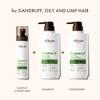 ALFHEIM Rosemary Shampoo Conditioner Leave-in Conditioner 3-piece set Deep Cleansing Scalp Care Strengthens Roots & Prevents Flatness Sulfate & Paraben-Free for Oily Scalp & Sensitive Skin view 3
