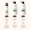 ALFHEIM Rosemary Shampoo Conditioner Leave-in Conditioner 3-piece set Deep Cleansing Scalp Care Strengthens Roots & Prevents Flatness Sulfate & Paraben-Free for Oily Scalp & Sensitive Skin view 4
