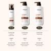ALFHEIM Caffeine Shampoo Conditioner Leave-in Conditioner 3-piece set  Revitalizes Scalp Strengthens Roots & Balances Oil Paraben & Sulfate-Free for Thinning Hair & Oily Scalp Care view 4