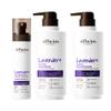 Alfheim Lavender+ Hair Care Set | Purple Shampoo + Conditioner + Leave-In Spray for Blonde, Silver & Highlighted Hair | Brass Neutralizing, Moisturizing & Frizz Control |Sulfate-Free, Holiday Gift Set view 1