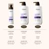 Alfheim Lavender+ Hair Care Set | Purple Shampoo + Conditioner + Leave-In Spray for Blonde, Silver & Highlighted Hair | Brass Neutralizing, Moisturizing & Frizz Control |Sulfate-Free, Holiday Gift Set view 4