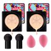 2P Mushroom Head Air Cushion CC Cream Foundation,Moisturizing Non-Greasy BB Cream and Makeup Sponge,Longlasting Matte Concealer Full Coverage Face Makeup Liquid Foundation for All Skin Types(Natural)B view 1
