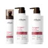 ALFHEIM Argan Repairing Shampoo Conditioner Leave-in Conditioner 3-piece set Deeply Repairs Damaged Hair Intense Hydration & Frizz Control Sulfate & Paraben-Free for Daily Care & Post-Color Treatment view 1