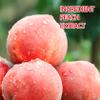 2PCS Peach Conditioning Lip Scrub Kit,Moisturizing Lip Sleeping Mask Long Lasting Hydrating Lip Scrubber Exfoliator Lip Care Products for Men & Women view 4