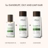 ALFHEIM Rosemary Shampoo, Conditioner and Oil 3-Piece Set Deep Cleansing Scalp Care Strengthens Roots & Prevents Flatness Sulfate & Paraben-Free for Oily Scalp view 3