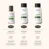 ALFHEIM Rosemary Shampoo, Conditioner and Oil 3-Piece Set Deep Cleansing Scalp Care Strengthens Roots & Prevents Flatness Sulfate & Paraben-Free for Oily Scalp view 4