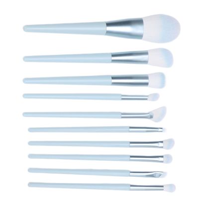 10pcs Makeup Brush Set, Travel Makeup Brush Set, Professional Portable Foundation Powder Eye Shadows Blush Brushes for travelling and daily use
