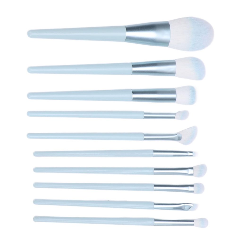 10pcs Makeup Brush Set, Travel Makeup Brush Set, Professional Portable Foundation Powder Eye Shadows Blush Brushes for travelling and daily use