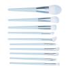 10pcs Makeup Brush Set, Travel Makeup Brush Set, Professional Portable Foundation Powder Eye Shadows Blush Brushes for travelling and daily use view 1