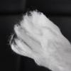 180g Nail Professional Cotton Beauty Coil Roll Hairdressing Hair Perm Cotton Strip White Cosmetic Cloth Pad Art Makeup Fabric Ball for Personal Care view 2