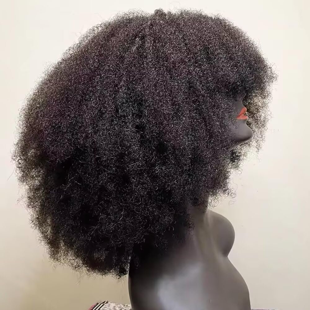 Afro Kinky Curly Glueless Human Hair Wigs 13X6 HD Transparent Lace Frontal Wig Brazilian Human Hair PrePlucked for Women Invisible Bleached Knots Bob Virgin Wig with Bangs Afro Kinky Curly Bob Wig