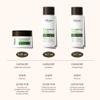 ALFHEIM Rosemary 3-piece set of shampoo, conditioner and hair mask Deep Cleansing Scalp Care Strengthens Roots & Prevents Flatness Sulfate & Paraben-Free for Oily Scalp & Sensitive Skin view 4