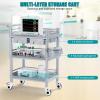 Awjaisca Beauty Cart & Instrument Trolley Combo - Mobile 2-Drawer & 1-Dirt Bucket Cart, 3-Tier Salon Rolling Trolley with 4 Ultra-Silent Wheels: Perfect for Organizing 1 view 3