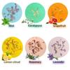 Bombas de baos, 6 uds., tabletas de aceite esencial de aromaterapia Natural, vaporizadores de ducha relajantes para aromaterapia view 2