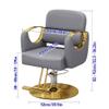 Barber Chair with Pu Leather, Hydraulic Pump 360 Swivel Salon Chair with Adjustable Height, Heavy Duty Ergonomic Chair Easy to Assemble, Hair Styling Beauty Equipment(Silver,Brown) view 2