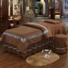 GRIPITHPY 4pcs Beauty Salon Bedding,Massage Spa Cover Sets,Solid Color Soft Microfiber Bed Sheet Set,Massage Bed Cover with Quilt Pillow Case and Chair Cover(23.62 * 70.87in, V) view 1