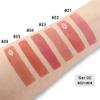 BINGBRUSH 2Pcs Velvet Light Matte Lip Tints  Colorstay Lipstick Highly Pigmented, Long-Lasting Lip Stain,Moisturizing, Waterproof, Lightweight Soft Lip Cream,Smudge-Proof & Fade-Resistant view 4