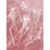 NSUQOA JSEIAJB Bantang Peach Powder 10 Pcs Makeup Brush Set Eye Brush Powder Blusher Brush Mini Portable Makeup Tool view 3