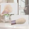 10 Sets Travel Size Makeup Brushes Set Mini Face Make up Brushes Brushes Bag for Makeup Party Favors Wedding Bridal Shower Favors Bridesmaid Gift Bachelorette Party Gift (lvory Beige, 10pc) view 3