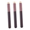 LIFKOME 3pcs Multi-function Lip Makeup Brush for Blending and Concealing for Birthdays and Holidays for Lipstick and Lip Gloss Application view 1