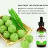 Amla Oil for Hair Growth & Scalp Care  2.02 FL OZ | 100% Pure & Cold-Pressed | Vegan, Nourishing & Strengthening Hair Treatment view 3