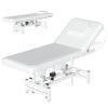 Electric Lift Massage Table with Lockable Wheels, Electric Massage Treatment Table with 4'' Think Premium Foam, 1500Lbs Capacity, Physical Therapy Table with Ajustable Backrest for Facial, Spa (WHITE) view 1