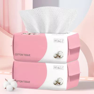 100 Count Disposable Face Towel, Ultra Soft & Thick Washcloths, Biodegradable Facial Towels for Sensitive Skin, Makeup Remover Dry Wipes, Lint-Free Towelettes for Cleansing (2 Pack)